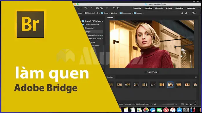 تحميل Adobe Bridge CC 2021