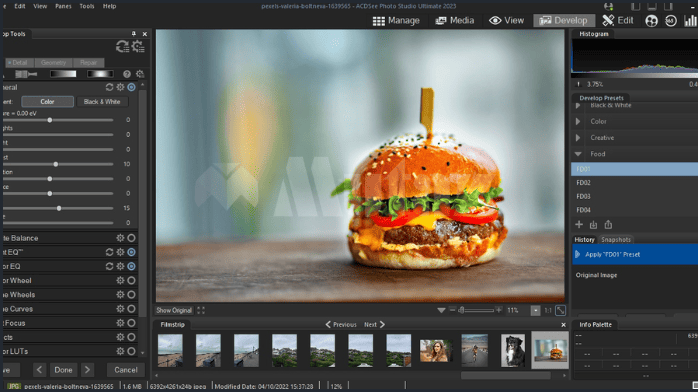 تحميل برنامج ACDSee Photo Studio 