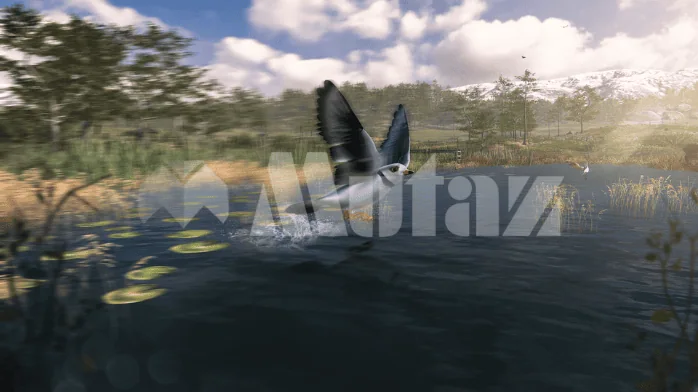 تحميل برنامج BirdyImg