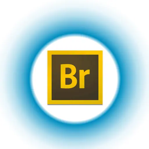 تحميل Adobe Bridge CC 2021